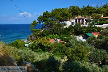 Strand Lemonakia Kokkari Samos | Griekenland foto 0002 - Foto van https://www.grieksegids.nl/fotos/samos/normaal/tsambou-kokkari-samos-002.jpg