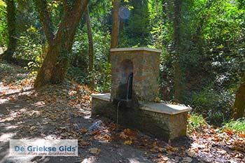 Vallei van de nachtegalen - Dal van de nachtegalen Samos 1 - Foto van https://www.grieksegids.nl/fotos/samos/normaal/vallei-van-de-nachtegalen-samos-001.jpg