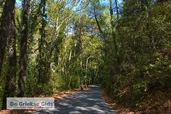 Vallei van de nachtegalen - Dal van de nachtegalen Samos 2 - Foto van https://www.grieksegids.nl/fotos/samos/normaal/vallei-van-de-nachtegalen-samos-002.jpg