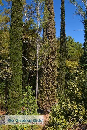 Vallei van de nachtegalen - Dal van de nachtegalen Samos 3 - Foto van https://www.grieksegids.nl/fotos/samos/normaal/vallei-van-de-nachtegalen-samos-003.jpg
