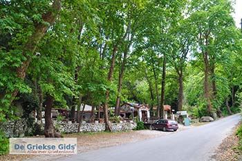 Vallei van de nachtegalen - Dal van de nachtegalen Samos 8 - Foto van https://www.grieksegids.nl/fotos/samos/normaal/vallei-van-de-nachtegalen-samos-008.jpg