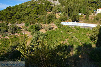 Vourliotes Samos | Griekenland | Foto 3 - Foto van https://www.grieksegids.nl/fotos/samos/normaal/vourliotes-samos-003.jpg