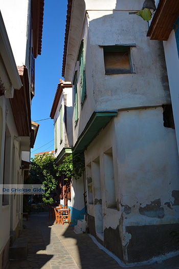 Vourliotes Samos | Griekenland | Foto 13 - Foto van https://www.grieksegids.nl/fotos/samos/normaal/vourliotes-samos-013.jpg