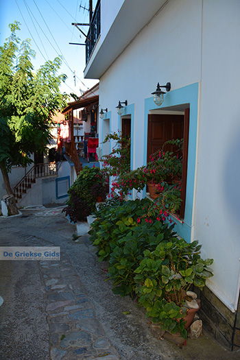 Vourliotes Samos | Griekenland | Foto 17 - Foto van https://www.grieksegids.nl/fotos/samos/normaal/vourliotes-samos-017.jpg
