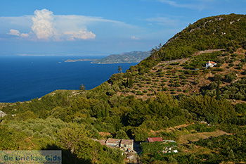 Vourliotes Samos | Griekenland | Foto 21 - Foto van https://www.grieksegids.nl/fotos/samos/normaal/vourliotes-samos-021.jpg