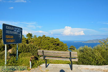 Vourliotes Samos | Griekenland | Foto 27 - Foto van https://www.grieksegids.nl/fotos/samos/normaal/vourliotes-samos-027.jpg