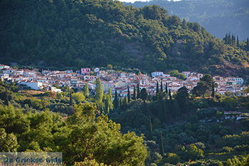 Vourliotes Samos | Griekenland | Foto 29 - Foto van https://www.grieksegids.nl/fotos/samos/normaal/vourliotes-samos-029.jpg