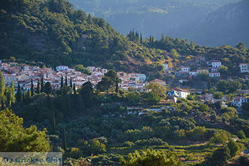 Vourliotes Samos | Griekenland | Foto 30 - Foto van https://www.grieksegids.nl/fotos/samos/normaal/vourliotes-samos-030.jpg