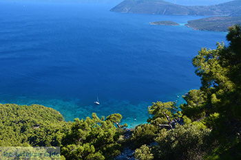 Baai Mourtia Samos | Griekenland | Foto 14 - Foto van https://www.grieksegids.nl/fotos/samos/normaal/zoodochou-pigis-samos-014.jpg