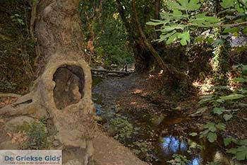 Potami - Eiland Samos - Griekse Gids Foto 10 - Foto van https://www.grieksegids.nl/fotos/samos/potami/350pix/potami-samos-010.jpg
