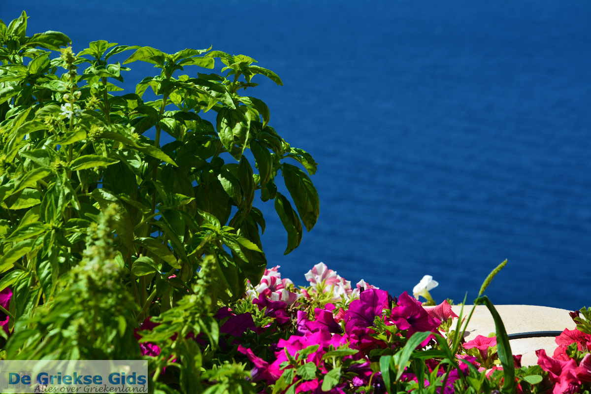 foto Oia Santorini | Cycladen Griekenland | Foto 1082