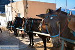 Fira Santorini | Cycladen Griekenland  | Foto 0070 - Foto van De Griekse Gids