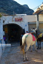 Fira Santorini | Cycladen Griekenland  | Foto 0071 - Foto van De Griekse Gids