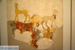 Museum Fira Santorini | Cycladen Griekenland | Foto 28 - Foto van De Griekse Gids