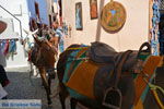 Oia Santorini | Cycladen Griekenland | Foto 1173 - Foto van De Griekse Gids