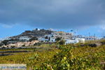 Pyrgos Santorini | Cycladen Griekenland | Foto 180 - Foto van De Griekse Gids