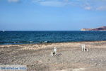 Vlychada Santorini | Cycladen Griekenland | Foto 304 - Foto van De Griekse Gids