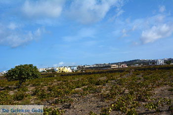 Emporio Santorini | Cycladen Griekenland | Foto 1 - Foto van https://www.grieksegids.nl/fotos/santorini/normaal/emporio-santorini-001.jpg