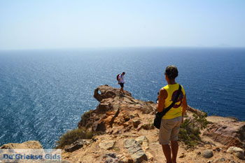 Faros Santorini | Cycladen Griekenland | Foto 78 - Foto van https://www.grieksegids.nl/fotos/santorini/normaal/faros-santorini-015.jpg