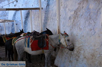 Fira Santorini | Cycladen Griekenland  | Foto 0053 - Foto van https://www.grieksegids.nl/fotos/santorini/normaal/fira-santorini-053.jpg
