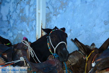 Fira Santorini | Cycladen Griekenland  | Foto 0054 - Foto van https://www.grieksegids.nl/fotos/santorini/normaal/fira-santorini-054.jpg