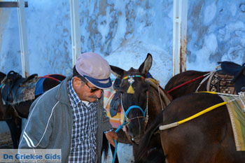 Fira Santorini | Cycladen Griekenland  | Foto 0055 - Foto van https://www.grieksegids.nl/fotos/santorini/normaal/fira-santorini-055.jpg