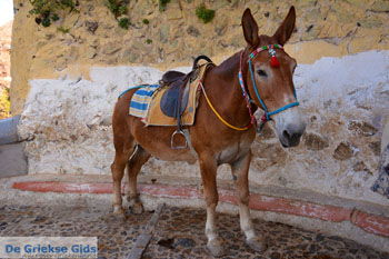 Fira Santorini | Cycladen Griekenland  | Foto 0057 - Foto van https://www.grieksegids.nl/fotos/santorini/normaal/fira-santorini-057.jpg