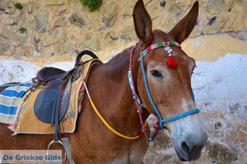 Fira Santorini | Cycladen Griekenland  | Foto 0058 - Foto van https://www.grieksegids.nl/fotos/santorini/normaal/fira-santorini-058.jpg