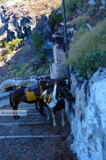 Fira Santorini | Cycladen Griekenland  | Foto 0063 - Foto van https://www.grieksegids.nl/fotos/santorini/normaal/fira-santorini-063.jpg