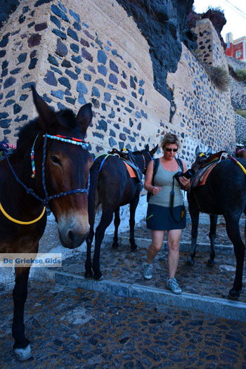 Fira Santorini | Cycladen Griekenland  | Foto 0066 - Foto van https://www.grieksegids.nl/fotos/santorini/normaal/fira-santorini-066.jpg