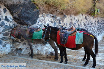 Fira Santorini | Cycladen Griekenland  | Foto 0069 - Foto van https://www.grieksegids.nl/fotos/santorini/normaal/fira-santorini-069.jpg