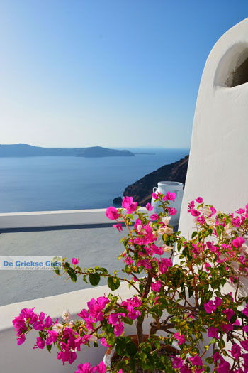 Firostefani Santorini | Cycladen Griekenland  | Foto 0056 - Foto van https://www.grieksegids.nl/fotos/santorini/normaal/firostefani-santorini-056.jpg
