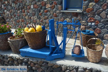 Ergens langs de weg op Santorini | Cycladen Griekenland | Foto 1 - Foto van https://www.grieksegids.nl/fotos/santorini/normaal/langs-de-weg-santorini-001.jpg