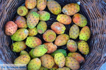 Ergens langs de weg op Santorini | Cycladen Griekenland | Foto 8 - Foto van https://www.grieksegids.nl/fotos/santorini/normaal/langs-de-weg-santorini-008.jpg