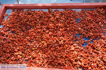 Ergens langs de weg op Santorini | Cycladen Griekenland | Foto 13 - Foto van https://www.grieksegids.nl/fotos/santorini/normaal/langs-de-weg-santorini-013.jpg