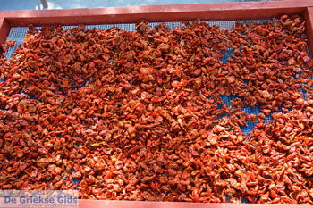 Ergens langs de weg op Santorini | Cycladen Griekenland | Foto 14 - Foto van https://www.grieksegids.nl/fotos/santorini/normaal/langs-de-weg-santorini-014.jpg