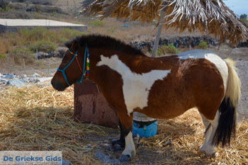 Ergens langs de weg op Santorini | Cycladen Griekenland | Foto 15 - Foto van https://www.grieksegids.nl/fotos/santorini/normaal/langs-de-weg-santorini-015.jpg