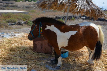 Ergens langs de weg op Santorini | Cycladen Griekenland | Foto 16 - Foto van https://www.grieksegids.nl/fotos/santorini/normaal/langs-de-weg-santorini-016.jpg