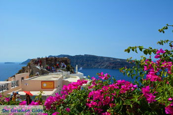 Oia Santorini | Cycladen Griekenland | Foto 1072 - Foto van https://www.grieksegids.nl/fotos/santorini/normaal/oia-santorini-073.jpg