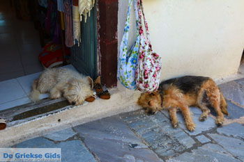 Oia Santorini | Cycladen Griekenland | Foto 1161 - Foto van https://www.grieksegids.nl/fotos/santorini/normaal/oia-santorini-162.jpg