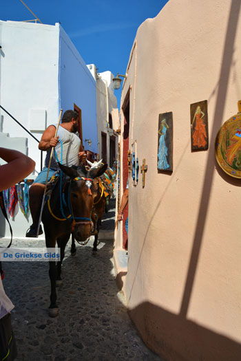 Oia Santorini | Cycladen Griekenland | Foto 1172 - Foto van https://www.grieksegids.nl/fotos/santorini/normaal/oia-santorini-173.jpg
