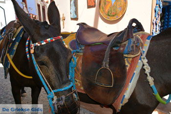 Oia Santorini | Cycladen Griekenland | Foto 1176 - Foto van https://www.grieksegids.nl/fotos/santorini/normaal/oia-santorini-177.jpg