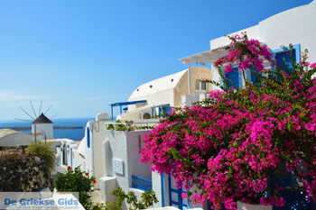 Oia Santorini | Cycladen Griekenland | Foto 1192 - Foto van https://www.grieksegids.nl/fotos/santorini/normaal/oia-santorini-193.jpg