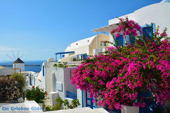 Oia Santorini | Cycladen Griekenland | Foto 1193 - Foto van https://www.grieksegids.nl/fotos/santorini/normaal/oia-santorini-194.jpg