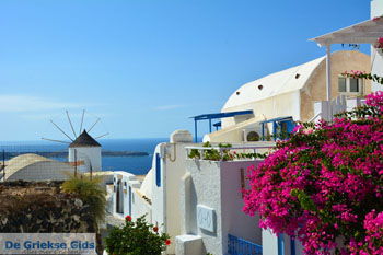 Oia Santorini | Cycladen Griekenland | Foto 1194 - Foto van https://www.grieksegids.nl/fotos/santorini/normaal/oia-santorini-195.jpg