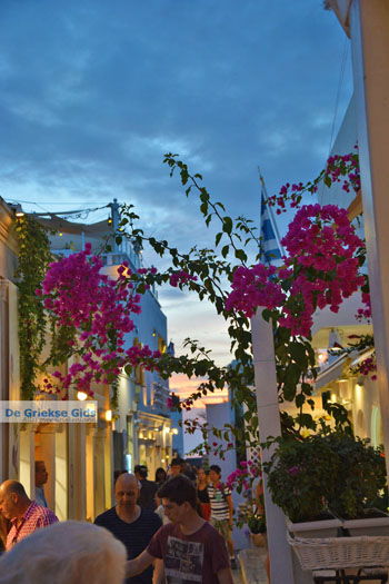 Oia Santorini | Cycladen Griekenland | Foto 1246 - Foto van https://www.grieksegids.nl/fotos/santorini/normaal/oia-santorini-247.jpg