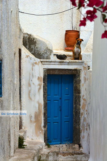 Pyrgos Santorini | Cycladen Griekenland | Foto 144 - Foto van https://www.grieksegids.nl/fotos/santorini/normaal/pyrgos-santorini-055.jpg