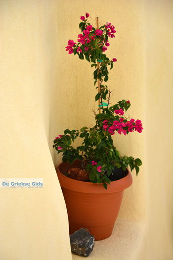 Pyrgos Santorini | Cycladen Griekenland | Foto 166 - Foto van https://www.grieksegids.nl/fotos/santorini/normaal/pyrgos-santorini-077.jpg