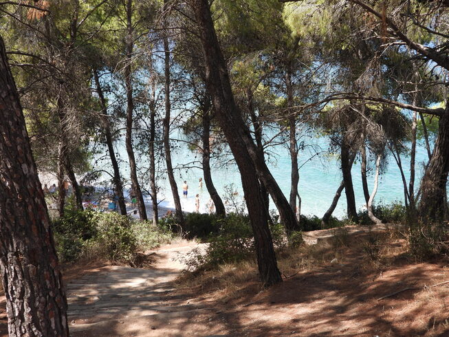 Vrelos Beach | Saronische eilanden | Spetses - Foto van https://www.grieksegids.nl/fotos/saronische-eilanden/spetses/vrelos-beach/mid/vrelos-beach-004.jpg?v=1771503408
