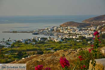 Livadi Serifos Cycladen 050 - Foto van https://www.grieksegids.nl/fotos/serifos/normaal/livadi-050.jpg